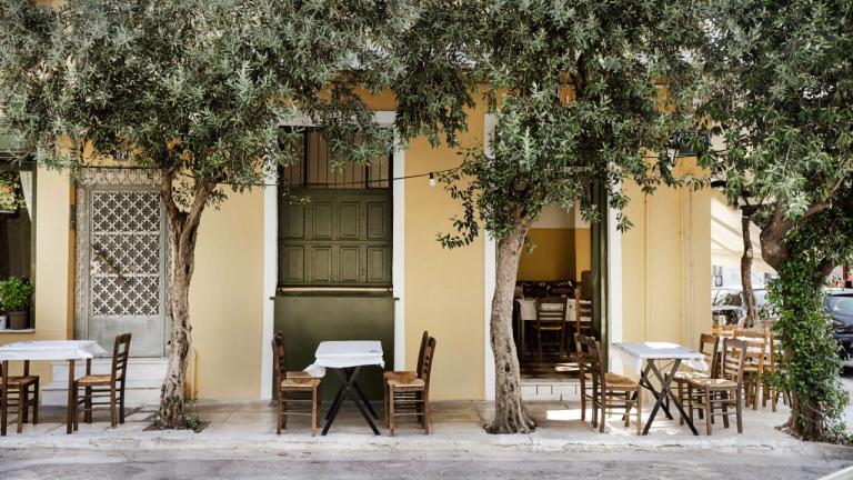 Φαγητό κάτω από ελαιόδεντρα
