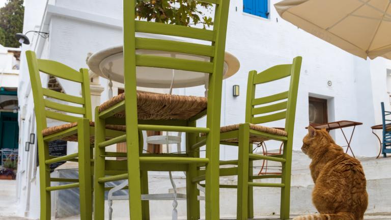 Τρώμε παραδοσιακά στην Τήνο -3 μέρη που αποθεώνουν την εντοπιότητα στο πιο must νησί του φετινού καλοκαιριού 