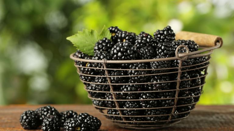 Ξεκούραση σε μία μπουκιά: Το superfood που διώχνει την κόπωση το καλοκαίρι