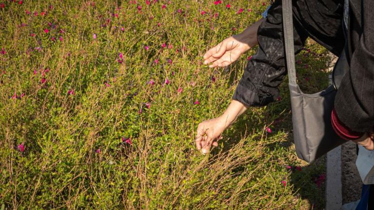 Θεατρικό εργαστήριο για άτομα 65+ με ήπια άνοια