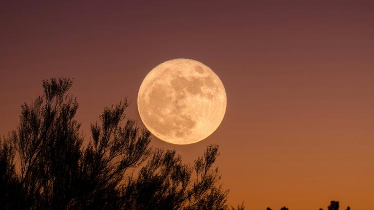 Νέα Σελήνη/Φωτογραφία Unsplash 