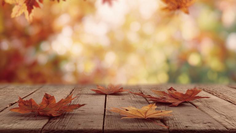 Αλλάζουν όλα! Τα 4 ζώδια που μεταμορφώνονται τον Νοέμβριο