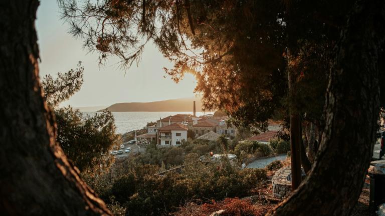 Καρδαμύλη/Φωτογραφία Unsplash 