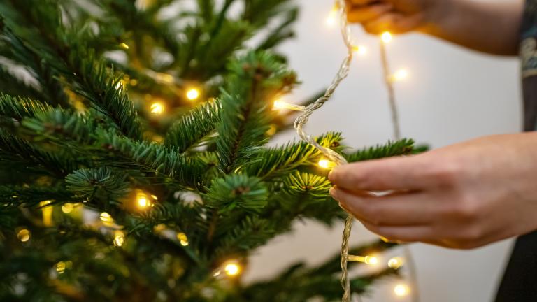 Πώς να τοποθετήσετε τα φωτάκια του χριστουγεννιάτικου δέντρου -Το αλάνθαστο κόλπο για να το διακοσμήσετε χωρίς μπερδέματα