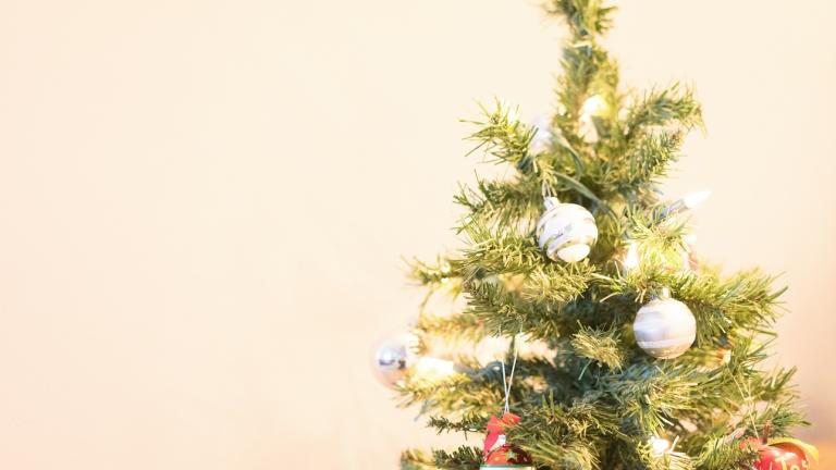 Χριστουγεννιάτικο δέντρο/Φωτογραφία Unsplash