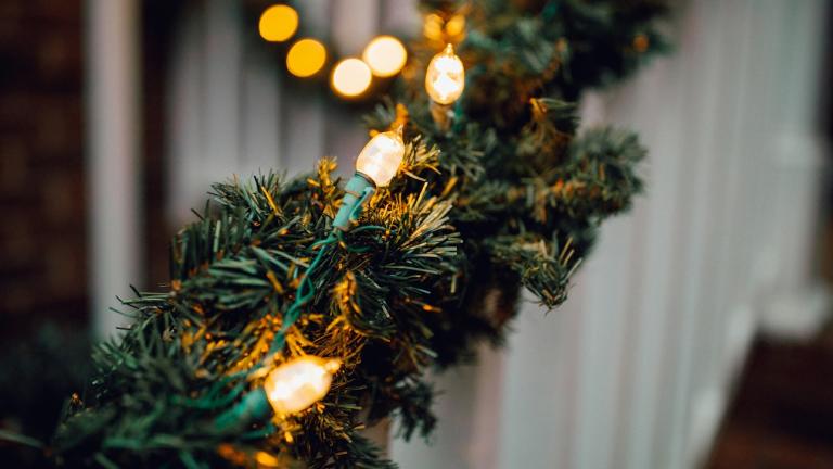 Φωτάκια/Φωτογραφία: Unsplash 