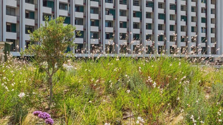 The Ilisian: Το εντυπωσιακό πράσινο rooftop που αλλάζει το πρόσωπο της Αθήνας