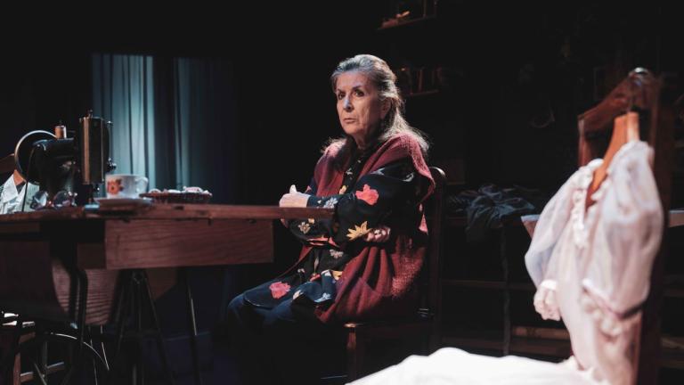 Οι δημοφιλέστερες παραστάσεις της χρονιάς 