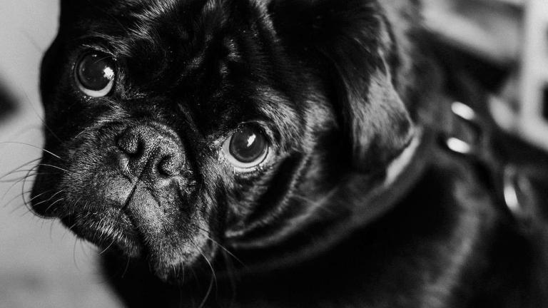 Γιατί κάποιοι ζητούν συνεχώς συγγνώμη -Ακόμα κι όταν δεν έχουν κάνει τίποτα λάθος;