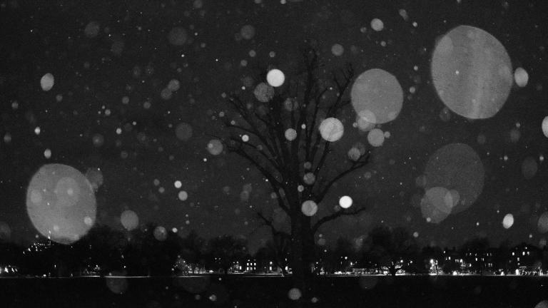 ζώδια Δεκέμβριος