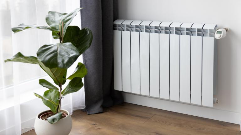 Φυτό κοντά σε καλοριφέρ 