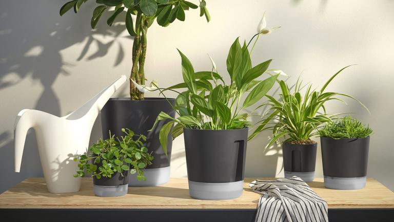 Γλάστρες/Φωτογραφία IKEA 