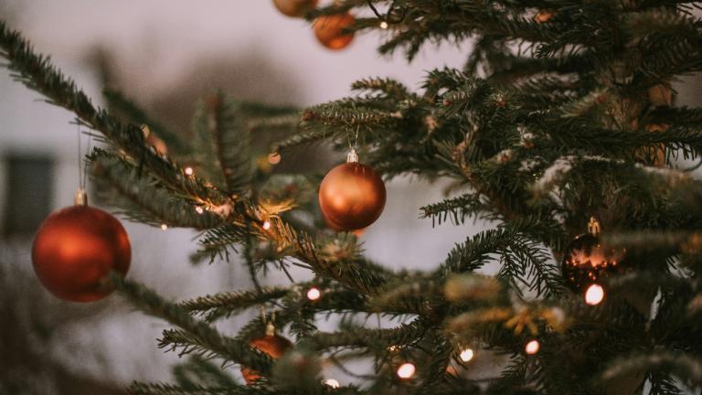 Χριστουγεννιάτικο δέντρο/Φωτογραφία Unsplash 