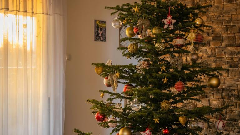 Στολίδια σε δέντρο/Φωτογραφία Unsplash 