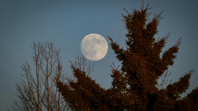 Πανσέληνος 