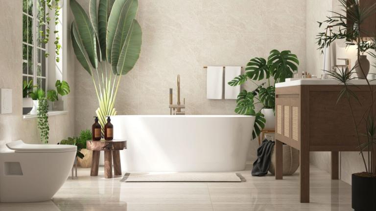Ποιο φυτό ταιριάζει στο μπάνιο σύμφωνα με το Φενγκ Σούι