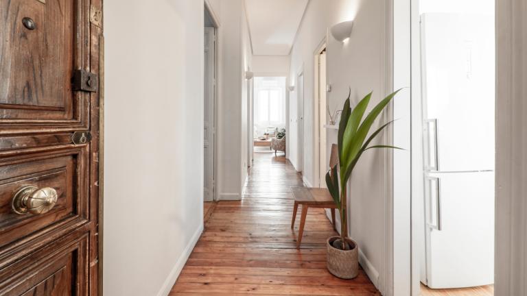 Γιατί, σύμφωνα με το Φενγκ Σούι, αυτό το αρωματικό φυτό αξίζει μια θέση στην είσοδό σας