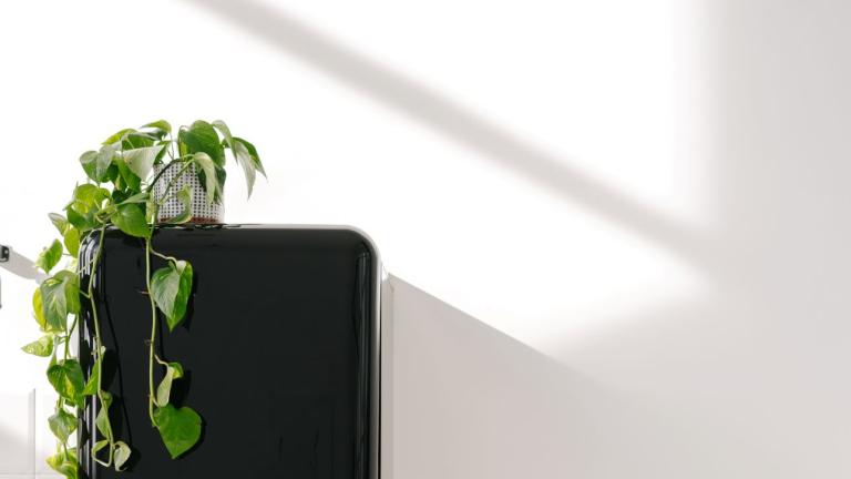 Γιατί να βάζουμε φυτά πάνω στο ψυγείο