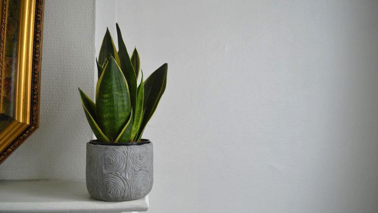 Φωτογραφία Unsplash 