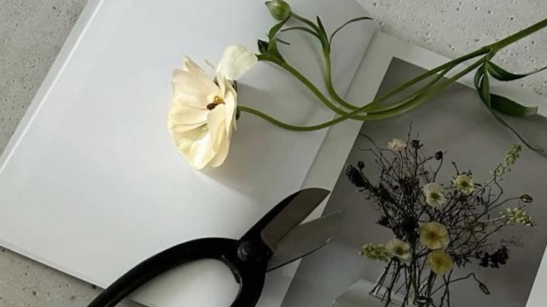 λουλούδι βιβλίο