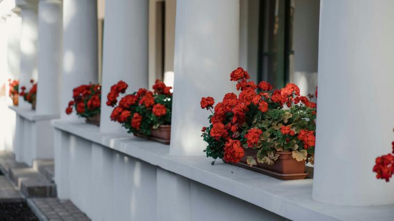 Φωτογραφία Unsplash 