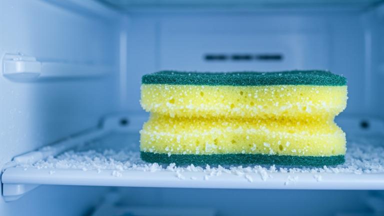 Σφουγγάρι σε κατάψυξη 