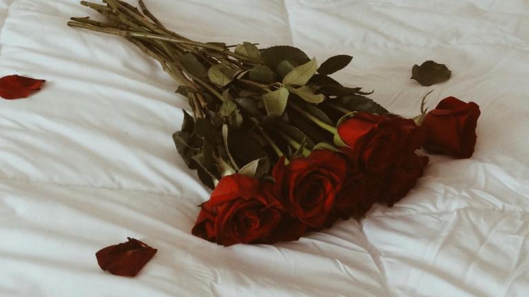 Κόκκινα τριαντάφυλλα/Φωτογραφία Unsplash 