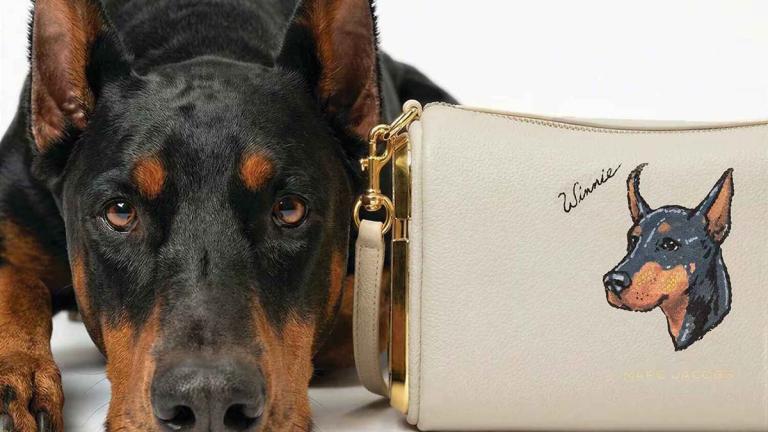 Τσάντα από τη συλλογή Bark Jacobs