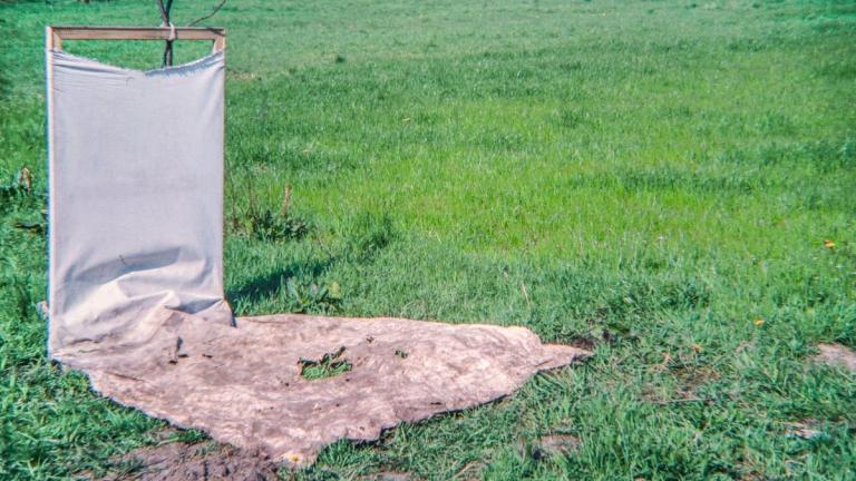 Εκθέσεις στο ΕΜΣΤ