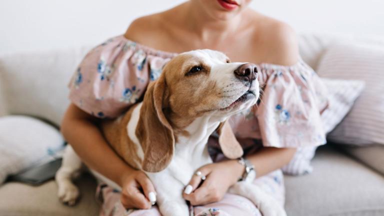 Γυναίκα με σκύλο στον καναπέ