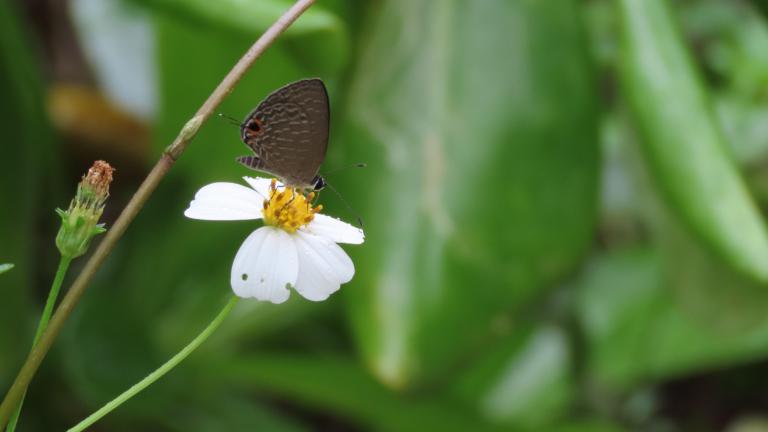 Φωτογραφία: Shutterstock