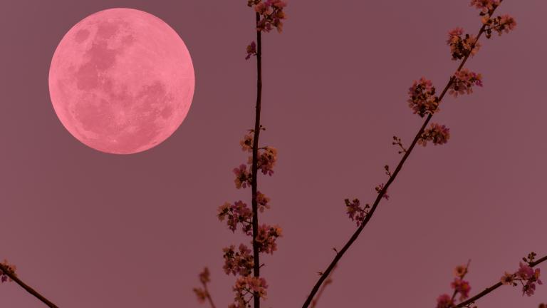 Ροζ Φεγγάρι Απριλίου 