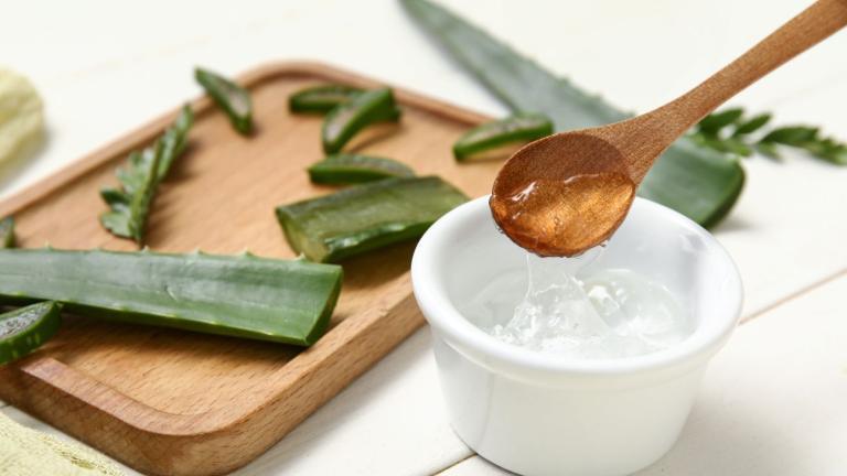 H αλόη βέρα είναι πλούσια σε ενυδατικά και καταπραϋντικά συστατικά