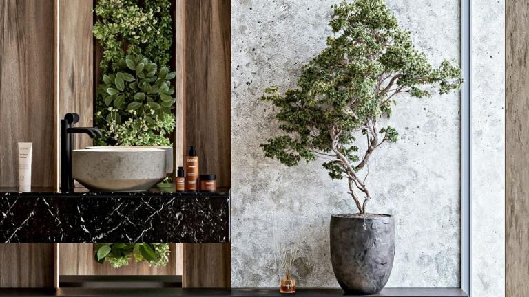 Φυτά στο μπάνιο