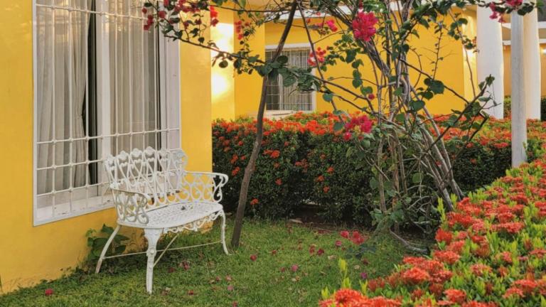 κήπος σπιτιού με λουλούδια