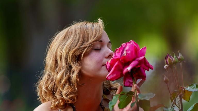 νέα γυναίκα στην εξοχή με τριαντάφυλλα