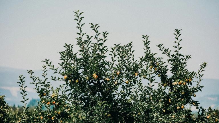 Φωτογραφία Unsplash 
