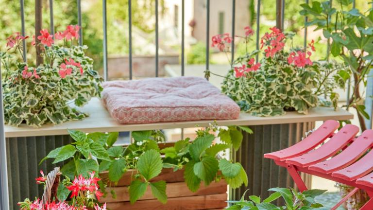 Πώς να διώξετε τα κουνούπια φέτος το καλοκαίρι