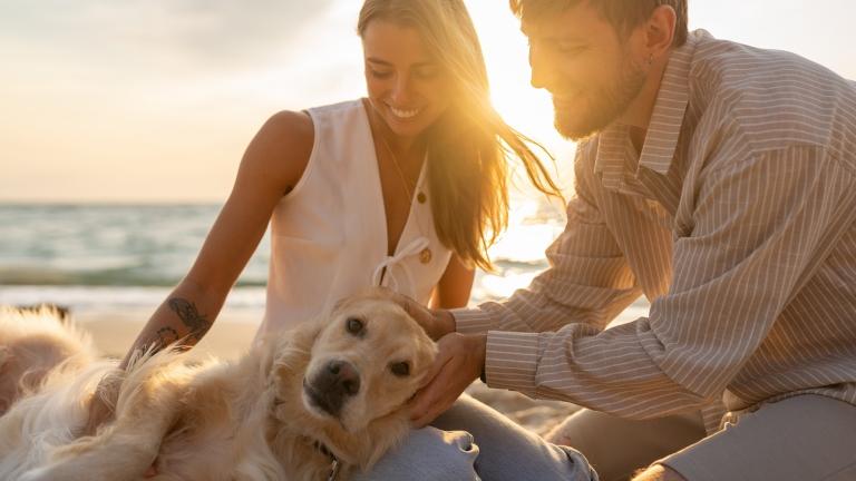 Φωτογραφία : Shutterstock