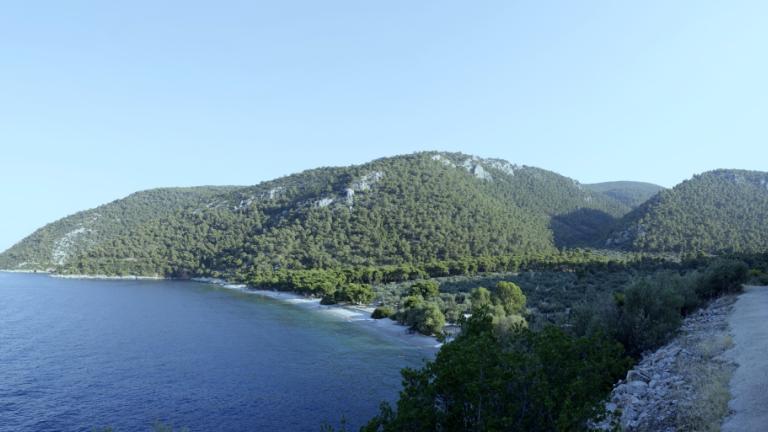 Φωτογραφία: Shutterstock