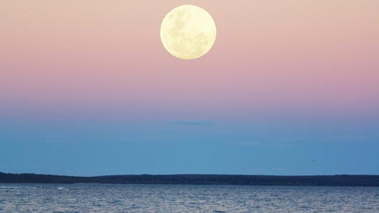 Φωτογραφία:unsplash