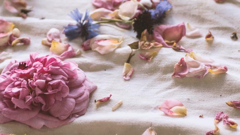 H αρωματοθεραπεία στη ρύθμιση της μελανίνης: Ο λόγος που έχει σημαντικό ρόλο  | 0 bovary.gr