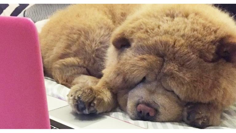 cosmopolitan.com / Instagram