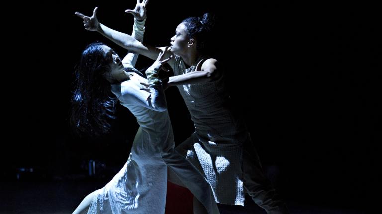 25ο Διεθνές Φεστιβάλ Χορού Καλαμάτας: To πρόγραμμα της κορυφαίας συνάντησης δημιουργών του σύγχρονου χορού | 0 bovary.gr