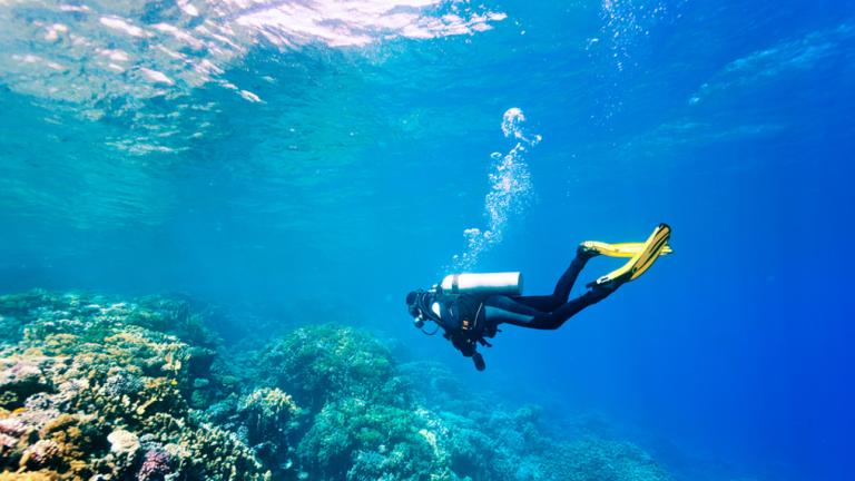 Εξερευνήστε τον βυθό με τον κατάλληλο εξοπλισμό -5 καταδυτικά κέντρα στην Αττική | 0 bovary.gr
