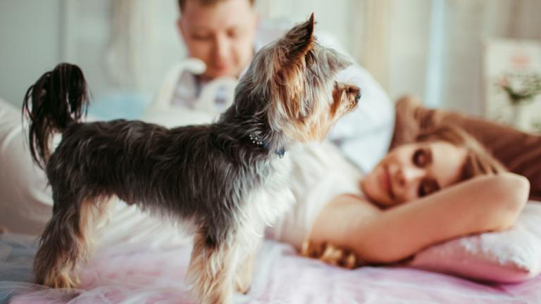 Ο λόγος που δυσκολεύεσαι να κοιμηθείς στα ξενοδοχεία -Επιστήμονες εξηγούν | 0 bovary.gr