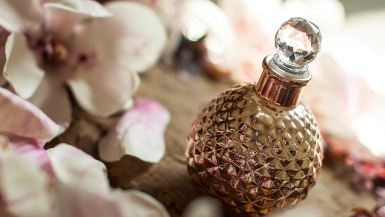 Shutterstock/NIKITA TV