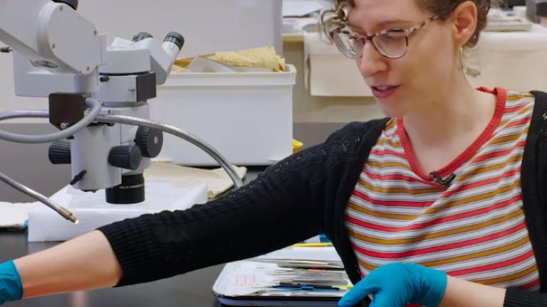 Συντηρήτρια έργων τέχνης επιδιορθώνει πίνακα του 1907 με χειρουργική βελόνα ματιών | 0 bovary.gr