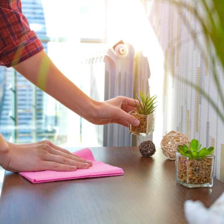 Γυναίκα ξεσκονίζει έπιπλο με πανί