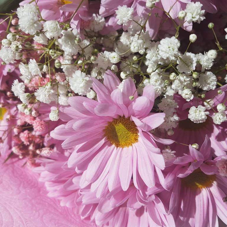 Φωτογραφία: Shutterstock